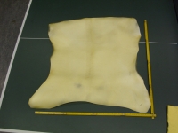 Pergament, Rohhaut, Kalbspergament, 0,39 qm