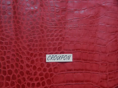 Foto Krokodilleder rot