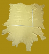 Zwei Rindlederhäute 9,42 m², sahara-gelb, 1,2-1,4 mm (WT 071/ 072) Polsterleder