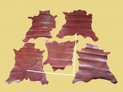 SONDERANGEBOT: Kalbleder, anilin gefärbt,rot-braun, zugfest, Täschnerleder, 5 Häute, D=1,3-1,5 mm, 2,76 m²