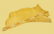 Rinderhlse, leicht gedeckt, Ginestra-gelb, zugfest, Tschnerleder (WT 098)